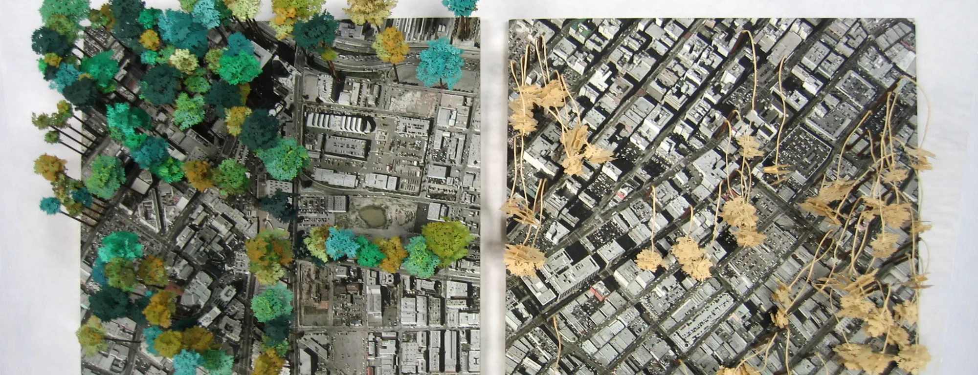 A piece of artwork by Kim Abeles of trees on a city map.