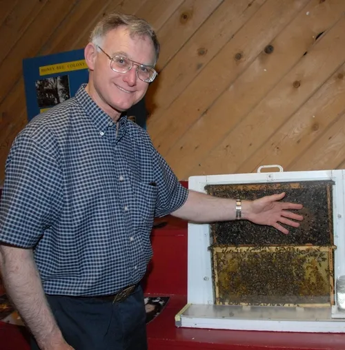 UC EXTENSION APICULTURIST Eric Mussen with a bee observation hive at the 2008 Dixon May Fair. The exhibit, featuring question-and-answer-sessions with Mussen, just won second place in a Western Fairs Association competition. (Photo by Kathy Keatley Garvey)