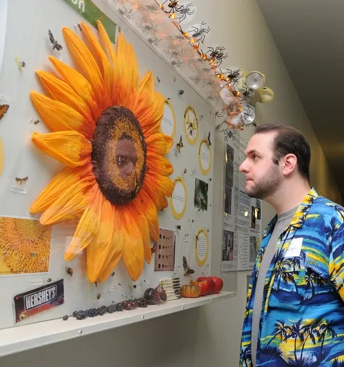 POLLINATION NATION--UC Davis undergraduate student Eric San Gregorio studies the Pollination Nation display at the Bohart Museum of Entomology. (Photo by Kathy Keatley Garvey)