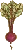 Beets
