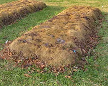 lasagna garden