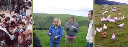 range banner