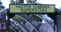 ji greenhouse1