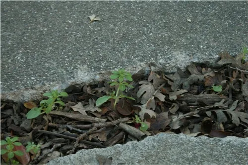 Picture2
