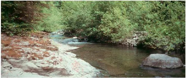 stream