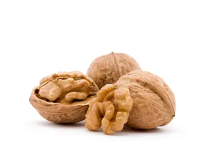 Walnut