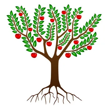 Roots and foliage are complex structures that function as both sources and sinks. Image by Pro Web Design, Fotolia.com.