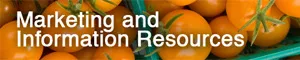 Marketing and Information Resources