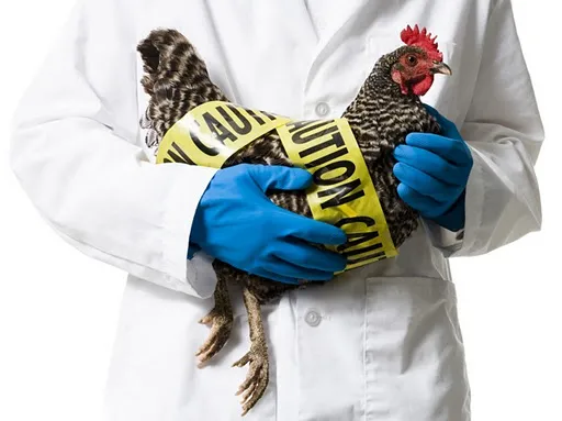 Biosecurity