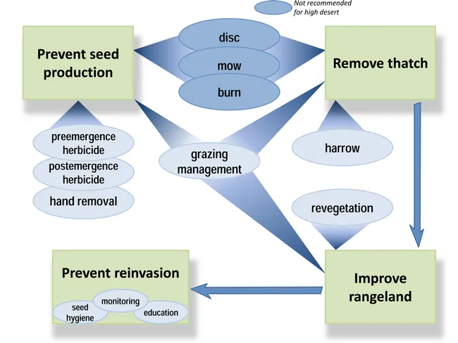 Control graphic
