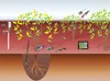 Precision Canopy Water Management