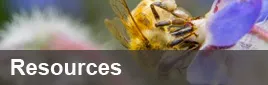 Resources