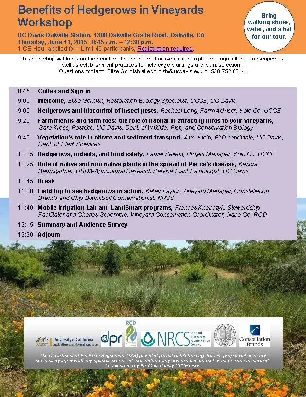 Hedgerow flyer
