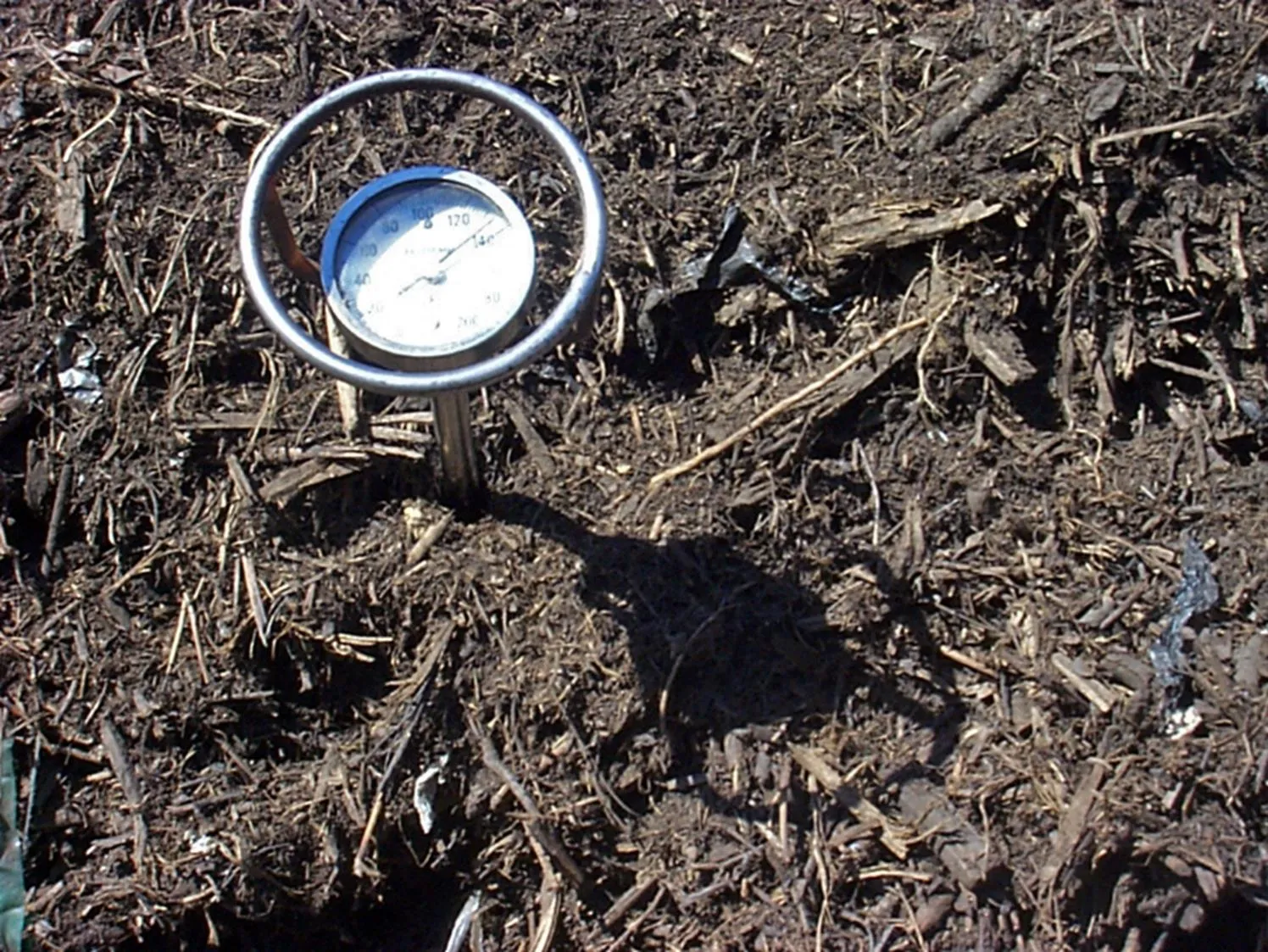 Composting Photo