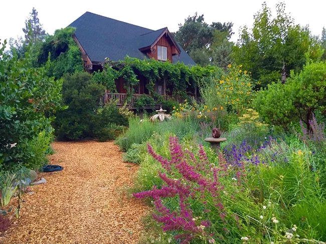 The lovely garden at the home of Kate and Ben Frey in Hopland.