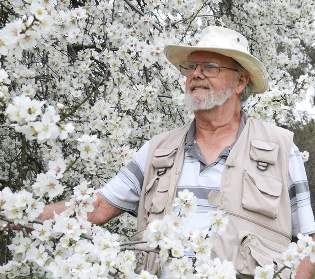 Native pollinator specialist Robbin Thorp next to an almond tree on Bee Biology Road, UC Davis. (Photo by Kathy Keatley Garvey)