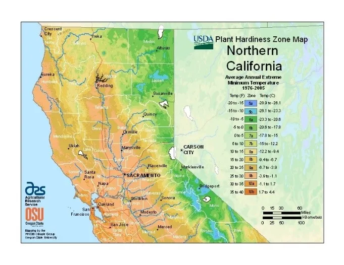 NORCalPlanting Zones
