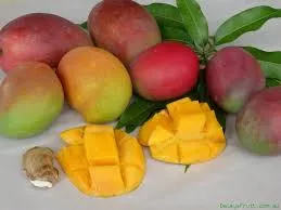 Mangoes