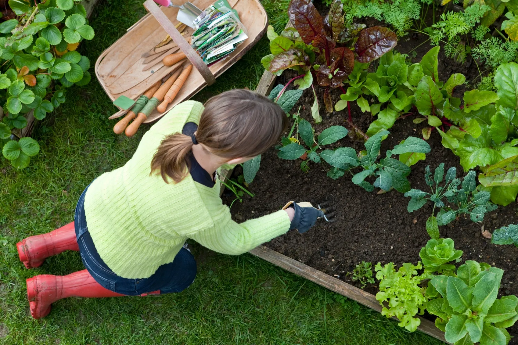 gardener