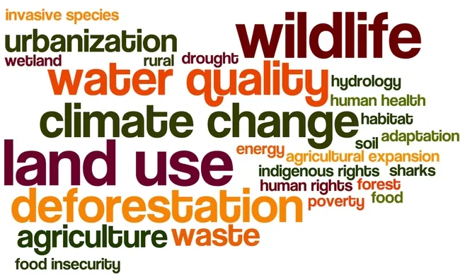 ESPM164_2017-Why-Wordle.png