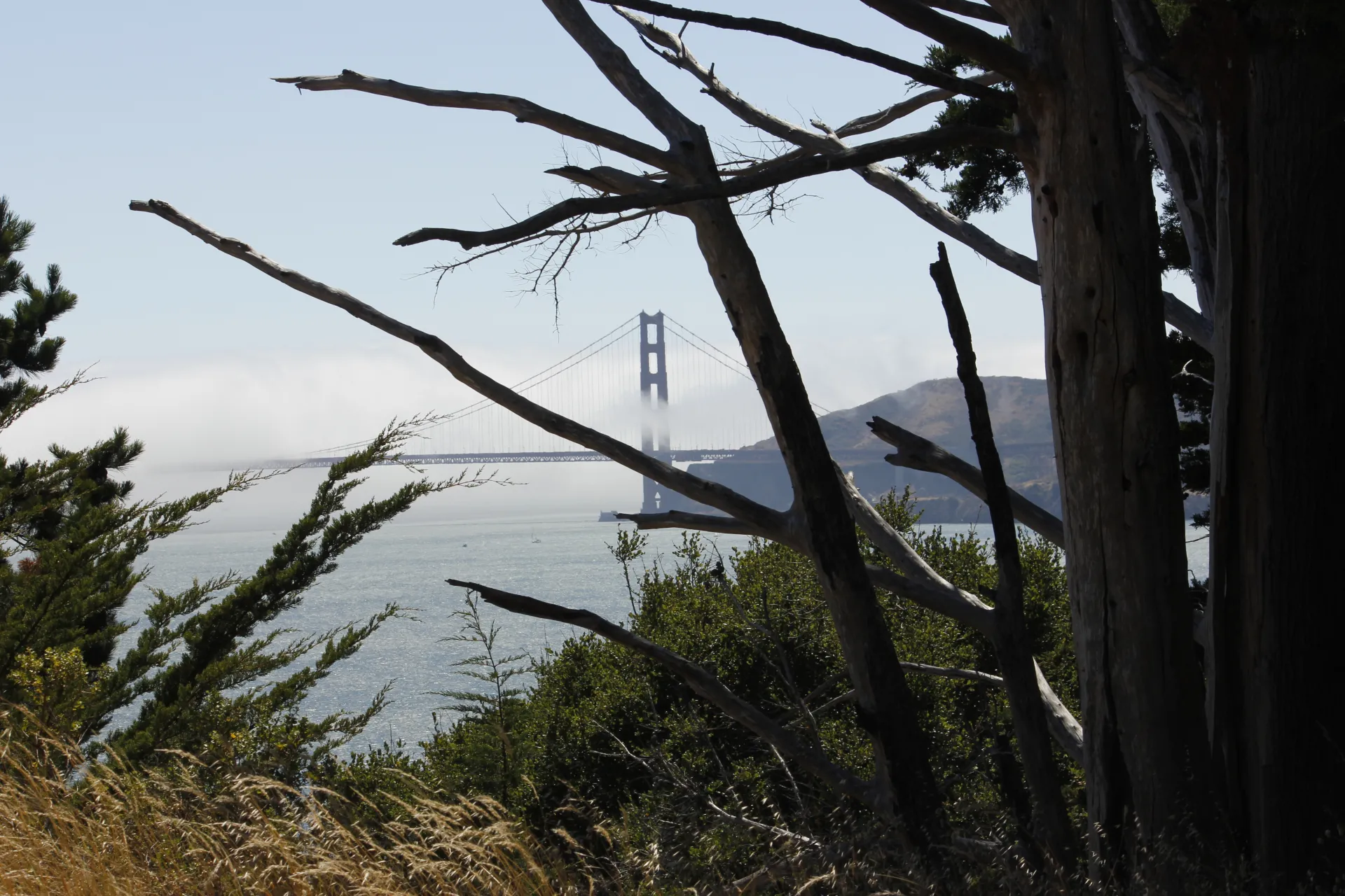 Angel Island