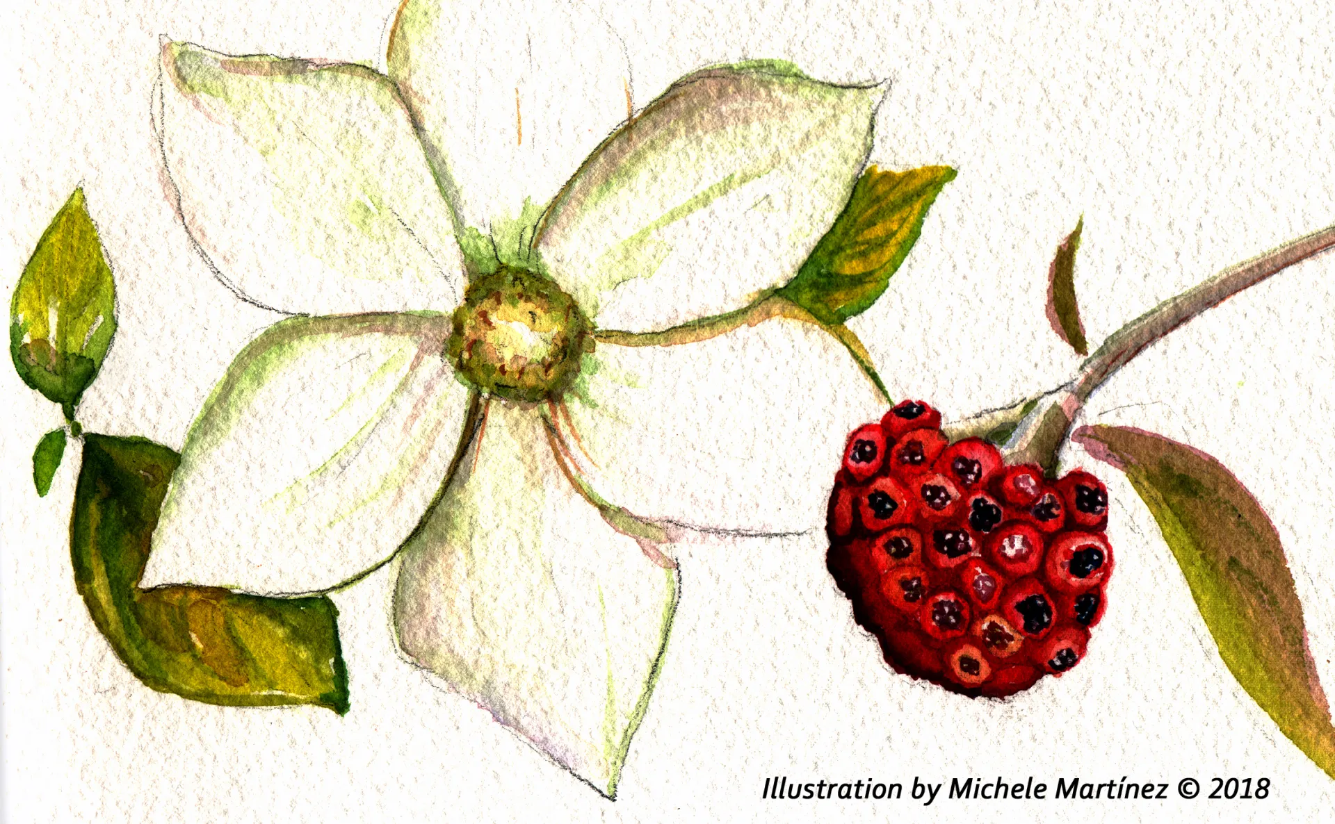 February Newsletter