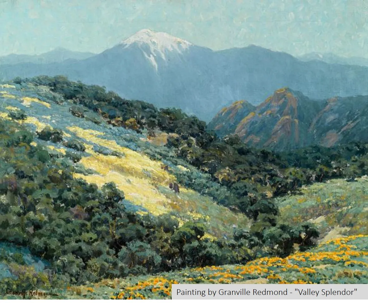Valley Splendor