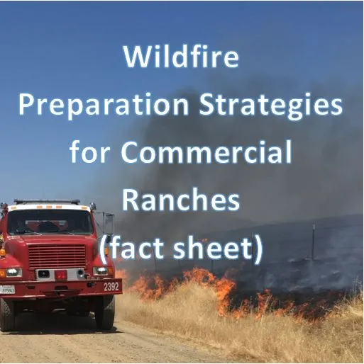 wildfire button 1