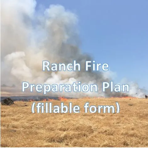 wildfire button 2