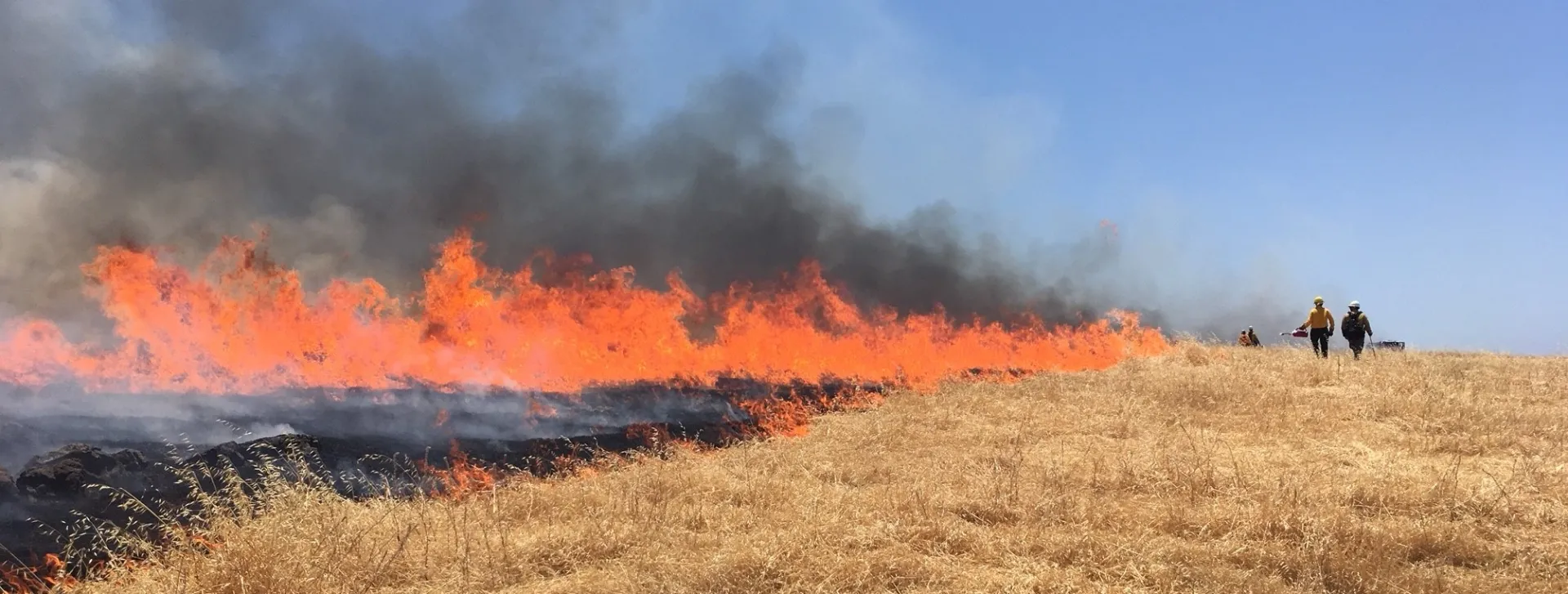 sfrec_fire (2)