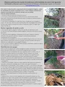 smallmejorespracticas