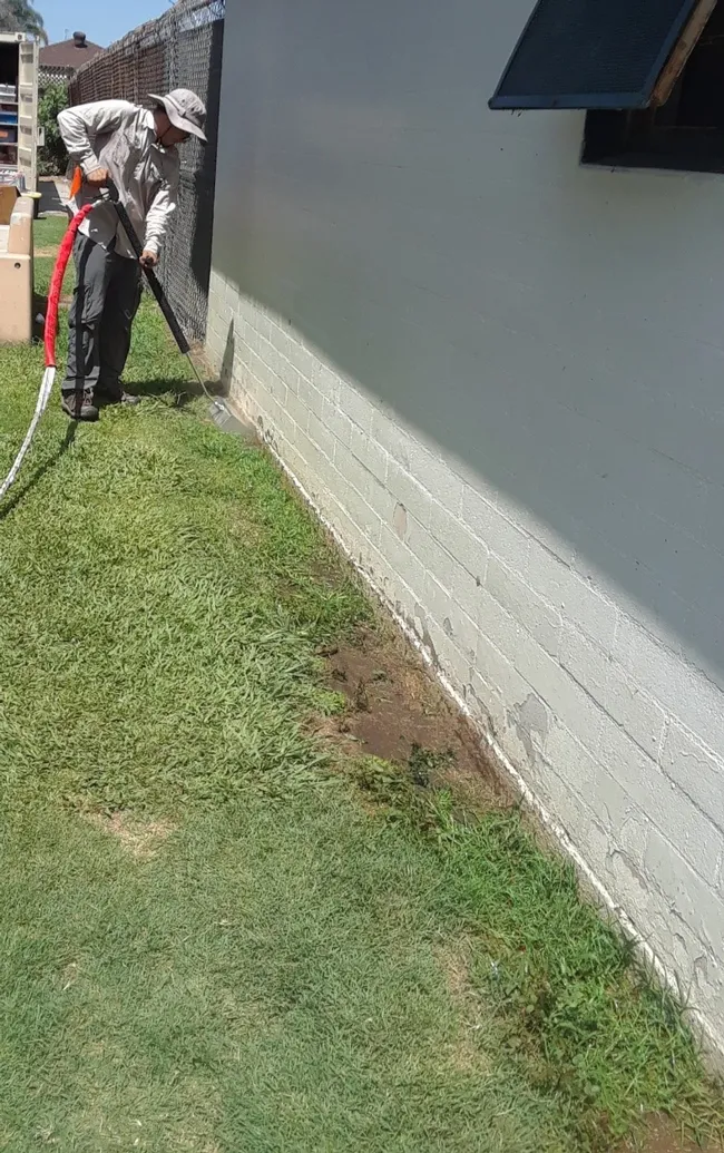 Guy wall1