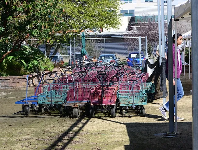 Carts are all lined up--ready for customers. (Photo by Kathy Keatley Garvey)
