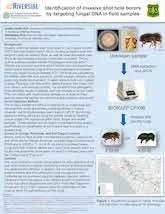 Joseph_D_Carrillo_public_flyer_2019small