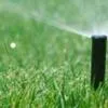 Lawn and Turf