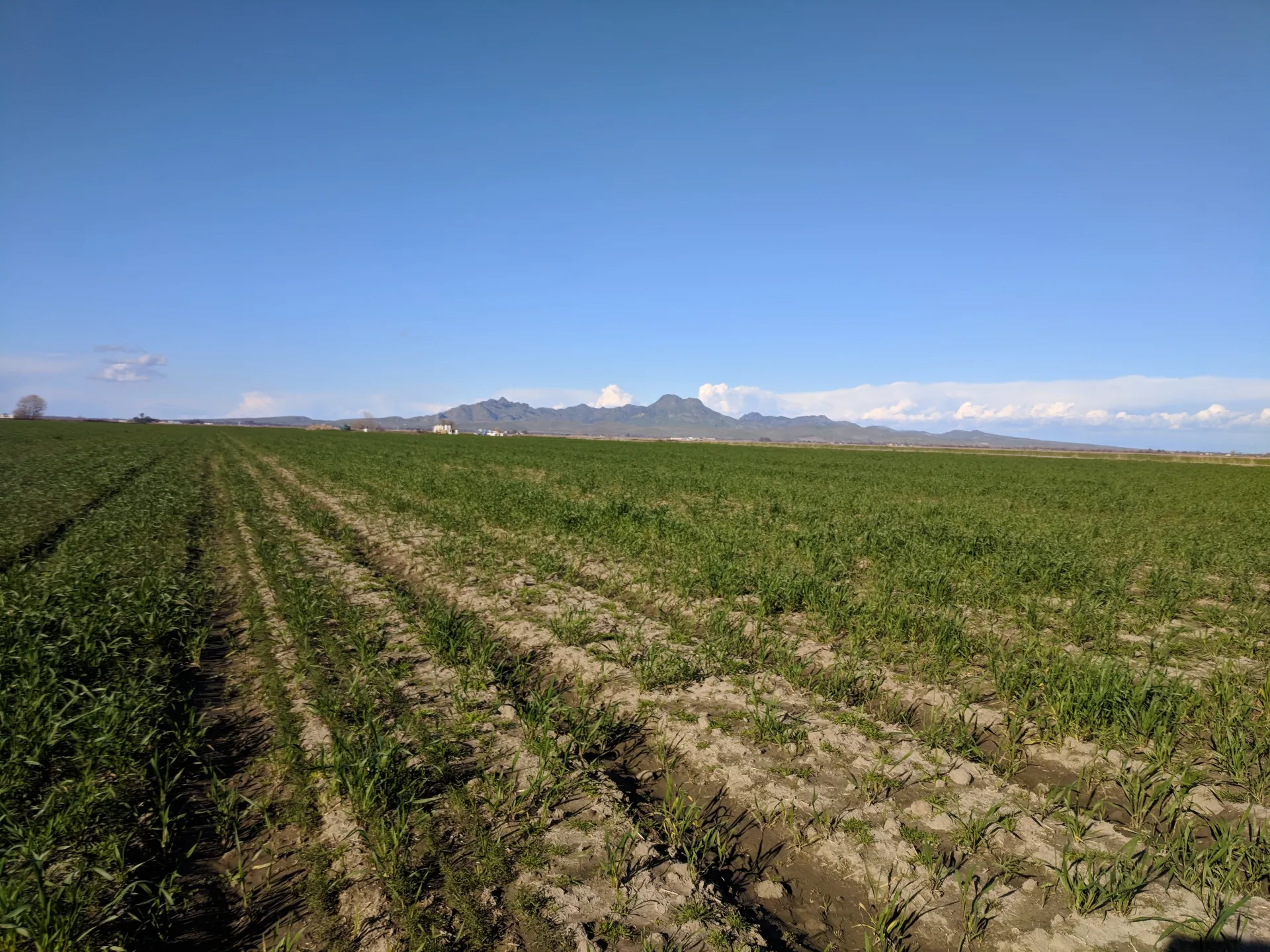 022019 field