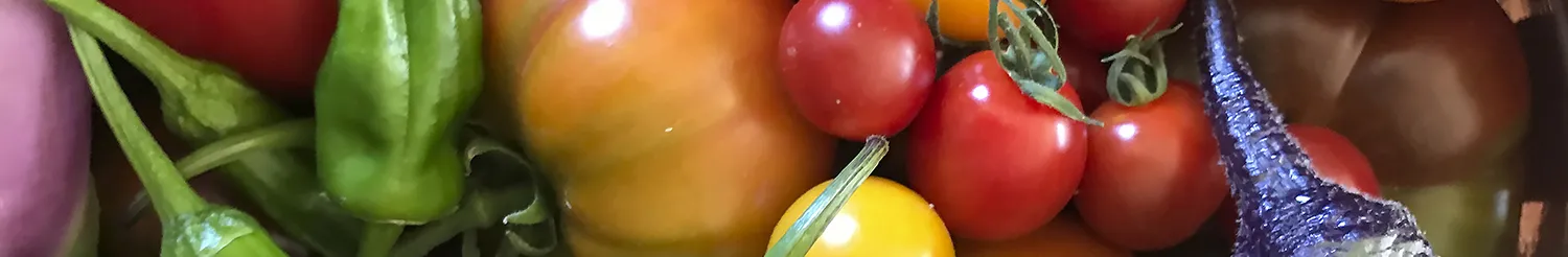 Veggie_Banner