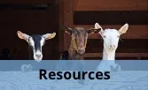 Resources Icon