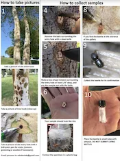 How to collect samples small