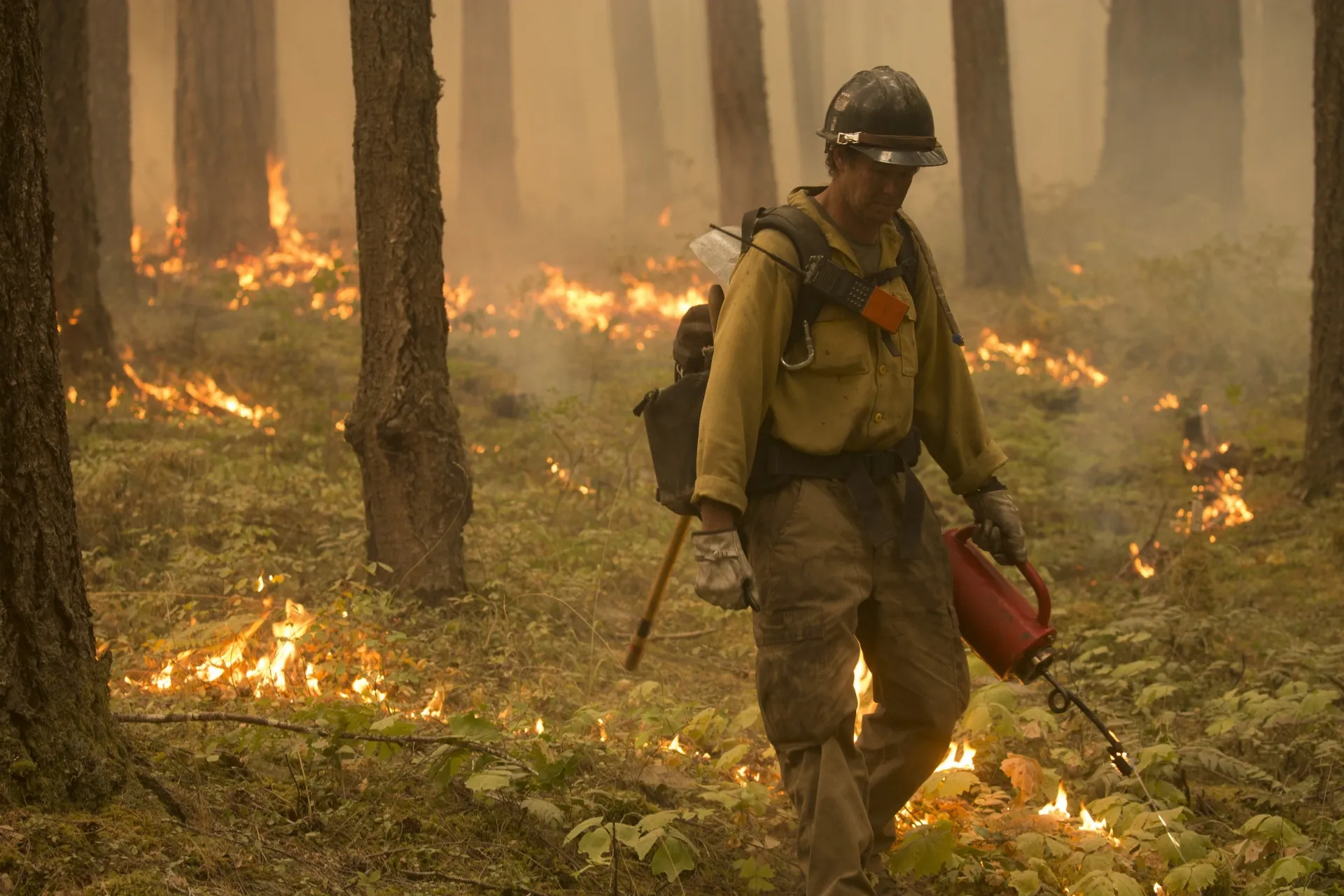 Wildfire and Fuels Management