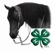 Horse Achievement