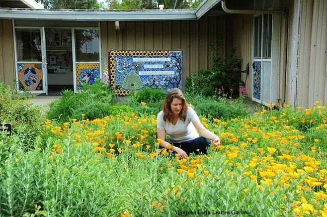 UC Davis alumnus Elizabeth "Liz" Frost worked at the Harry H. Laidlaw Jr. Honey Bee Research Facility, UC Davis. (Photo by Kathy Keatley Garvey)
