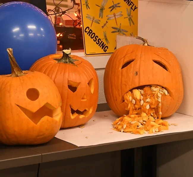 Not all pumpkins at the previous Bohart Museum Halloween parties focused on insects. (Photo by Kathy Keatley Garvey)