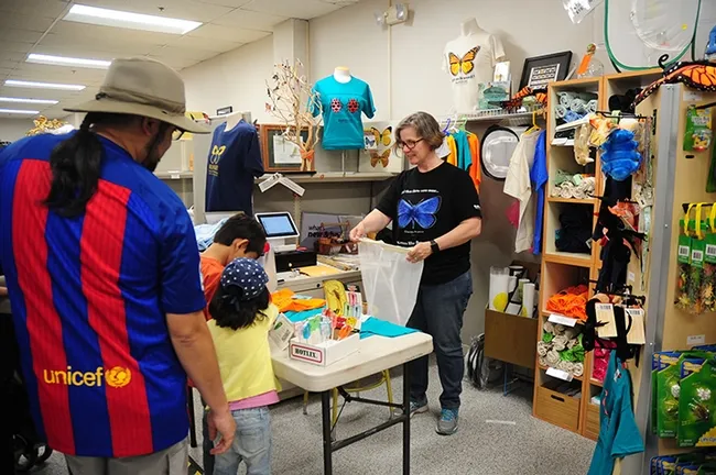 Bohart Museum associate Fran Keller, a professor at Folsom Lake College who holds a doctorate in entomology from UC Davis, helps customers at the Bohart gift shop in this pre-COVID-19 image. (Photo by Kathy Keatley Garvey)