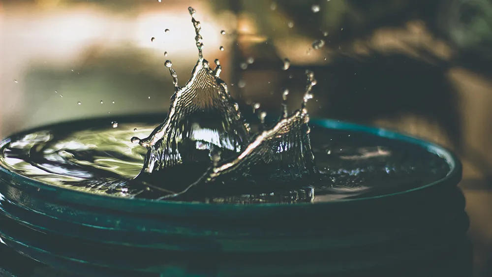 Water is a precious resource: use it wisely. Photo: Amritanshu Sirdar, Unsplash