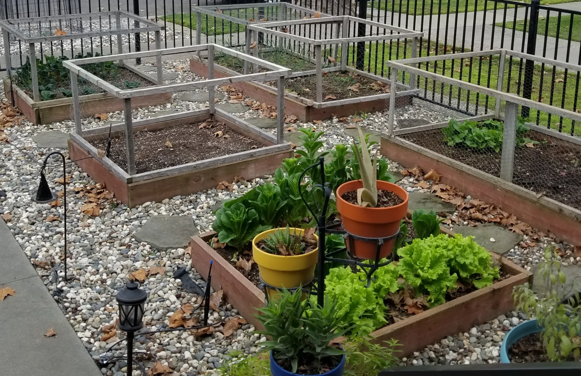 Raised bed prep