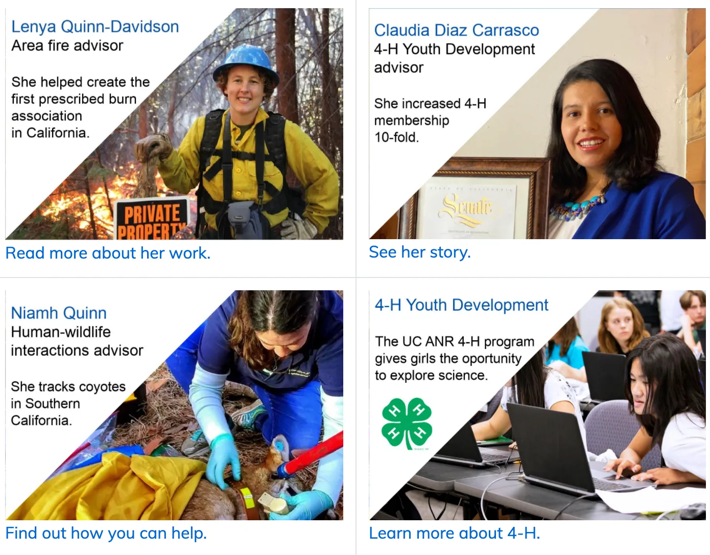 STEM women
