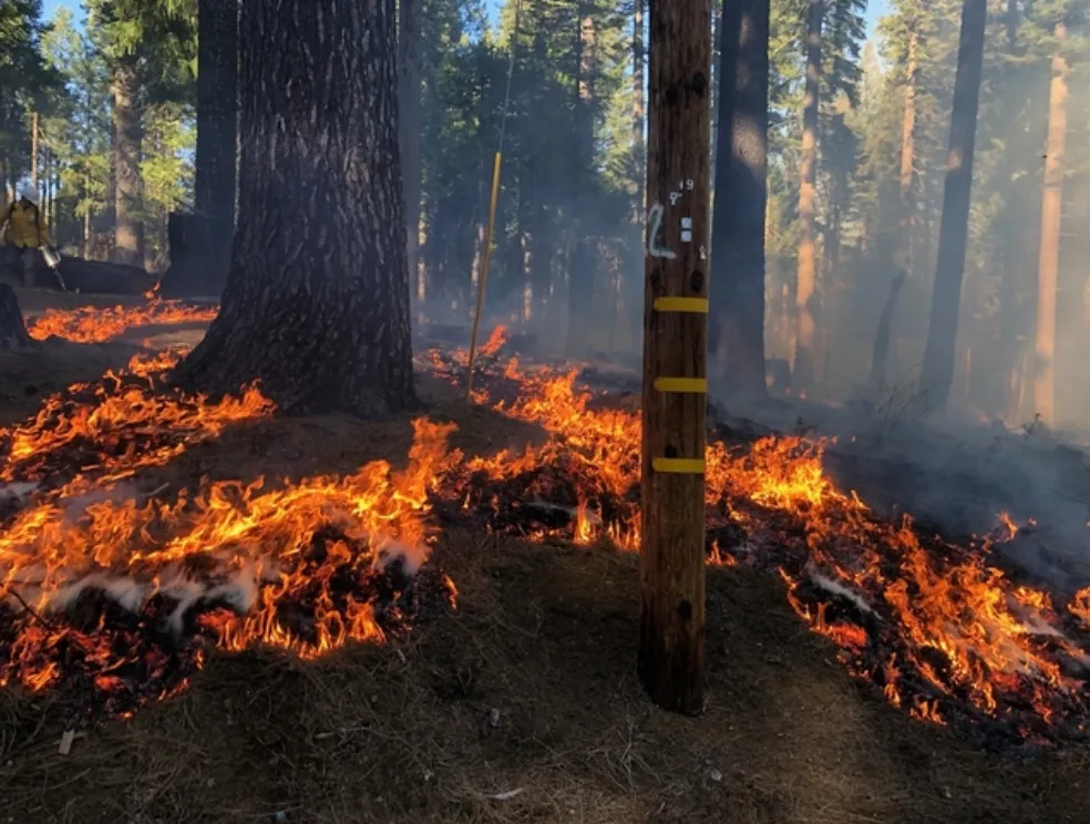 Fire burning