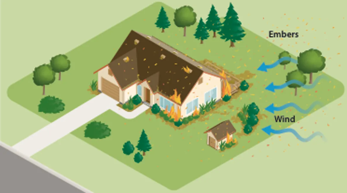 Illustration: UCANR