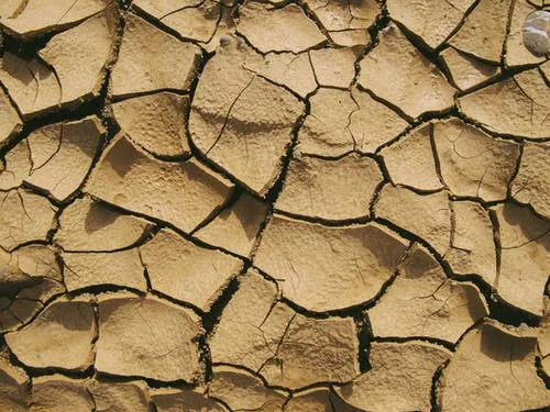 drought